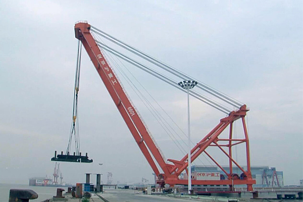 Fixed Dock Crane
