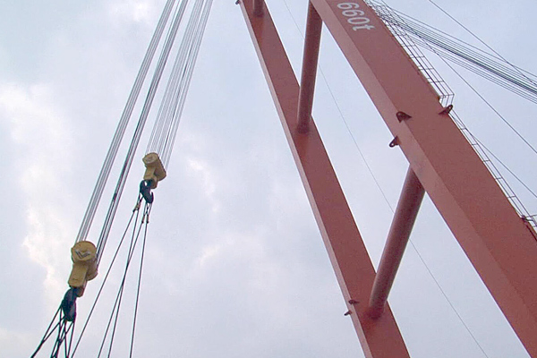 Fixed Dock Crane
