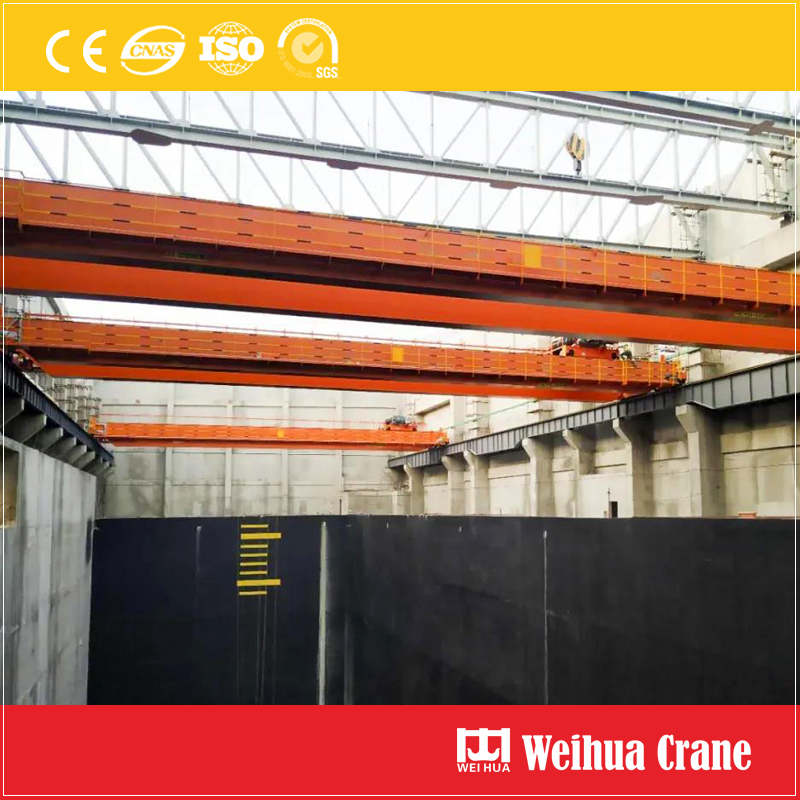 20t Bridge Crane with Grab