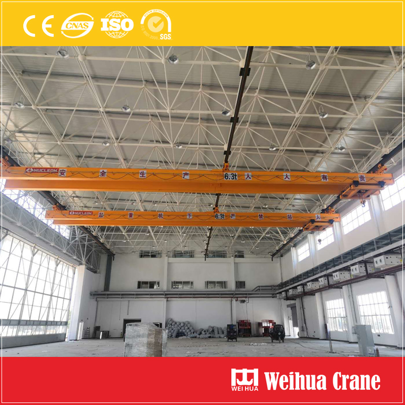 Large Span Suspension Crane