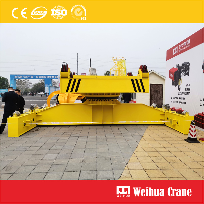 Rotatable Hoisting Tool