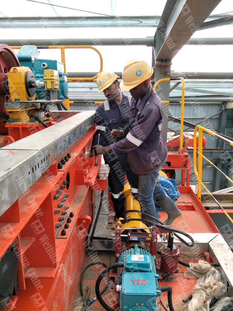 bridge-crane-installation-Tanzania